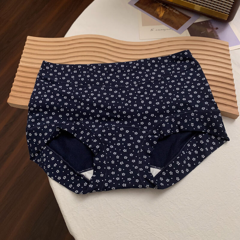 Quality Snug Non-Binding Fit Lightweight Breathable Cotton Ladies' Briefs with Elegant Loungewear Silhouette factory