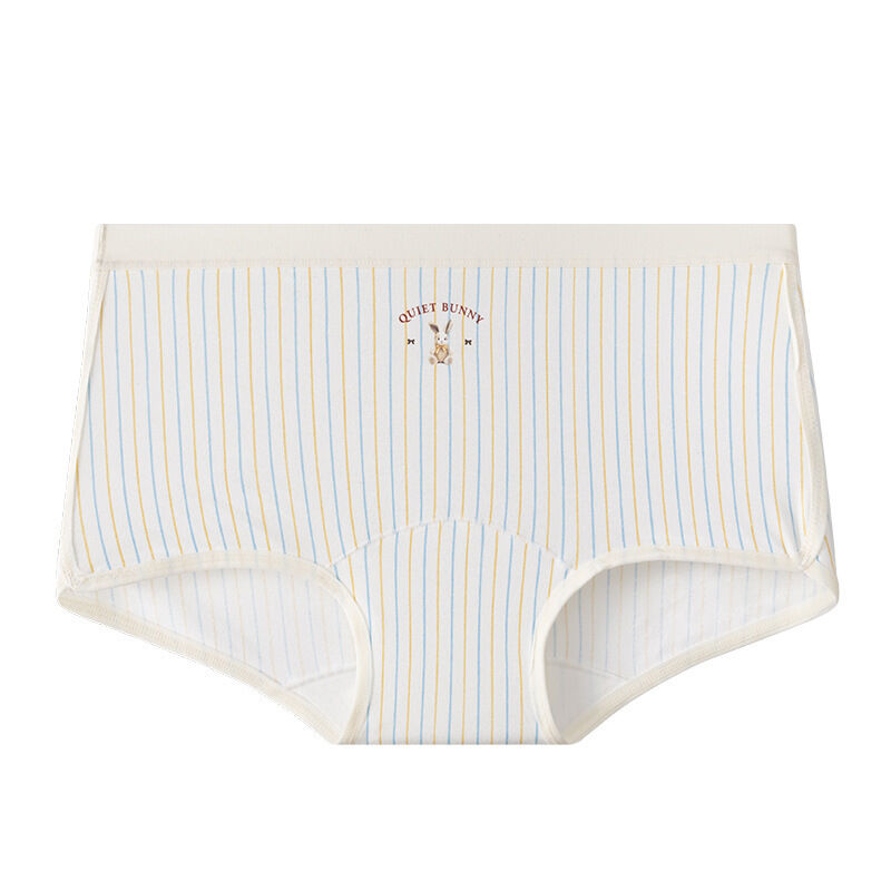 Quality Premium Long-Staple Combed Cotton Ladies' Briefs with Body-Mapped Stay-Put Fit and Elegant No-Show Silhouette factory