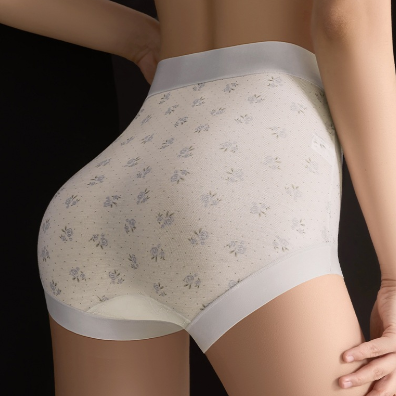 Quality Stretchy 4-Way Movement Breathable Lycell Elegant No-Show Lady's Brief for Pilates Training factory