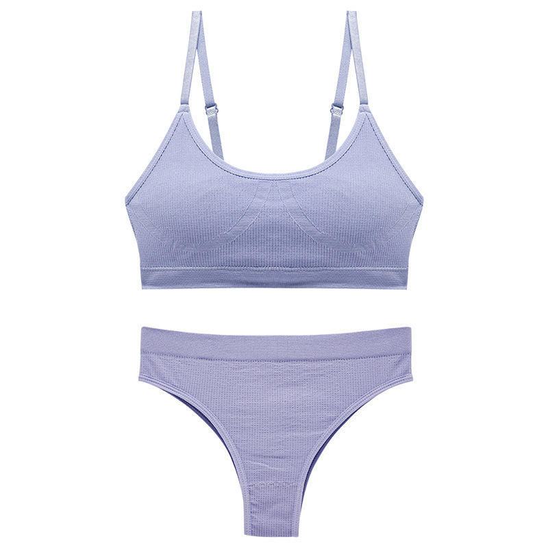 Quality Quick-Dry Unrestricted Fit Breathable Fabric Sports Bra Set for Yoga and Home Workouts factory