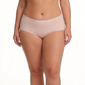 Quality Plus Size Seamless Breathable Lady's Brief For All-Day Comfortable Wear factory