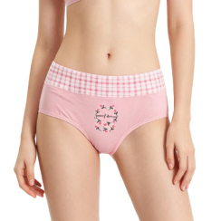 Quality Soft Tailored Fit Breathable Cotton Women's Brief with Gentle Comfort Waistband for Casual Daily Wear factory