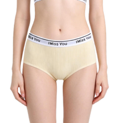 Quality Elastic Stretch Fit Women's Brief with Breathable Cotton Knit and Flattering Silhouette for Lounge and Everyday Wear factory