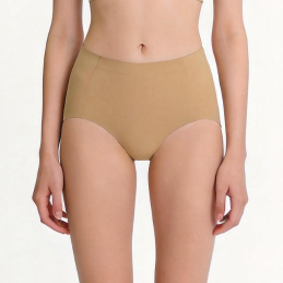 Quality Seamless Breathable Polyamide Women's Briefs with Moisture-Wicking for All-Day Comfort factory