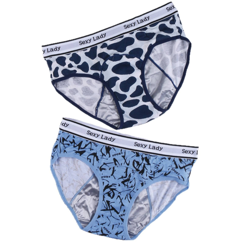 Quality Lightweight Breathable Plus-Size Contoured Fit Women's Briefs for Hot Summer Days factory