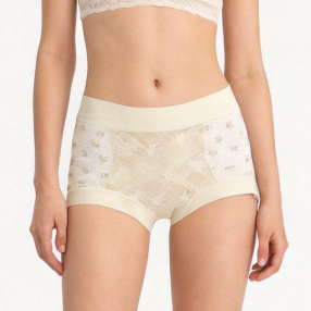 Quality Comfortable Breathable Delicate Women's Lyocell Tencel Briefs For All - Day Wear At Home factory