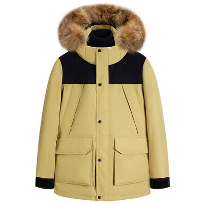 Quality Winner Thickened 650 Fill Power Down Sports Coat with 10,000mm Waterproof Windproof Shell and Sport-Tailored Ergonomic Fit factory