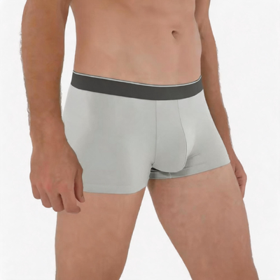 Quality Bamboo Sustainable Stretchy Men's Breathable Boxer Briefs For Everyday factory