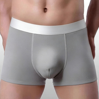 Quality Durable Performance Stretchy Men's Breathable Boxer Briefs For Everyday factory
