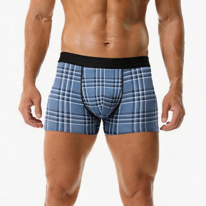 Quality Versatile Lightweight Soft Men's Breathable Boxer Briefs For Everyday factory