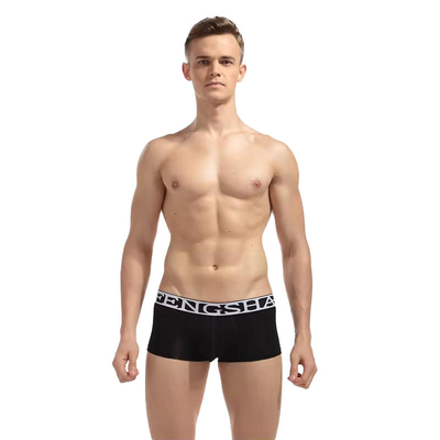 Quality Weightless Cooling Ventilated Sporty Men's Breathable Boxer Briefs For Outdoor Activities factory