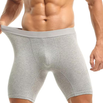 Quality Antibacterial Long-Leg Anti-Slip 4-Way High-Elastic Men's Performance Boxer Briefs for Outdoor Activities factory