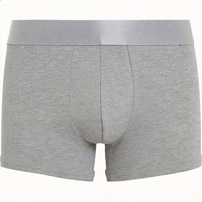Quality Breathable Quick-Dry Lightweight Performance Boxer Briefs for Men's Outdoor Activities factory
