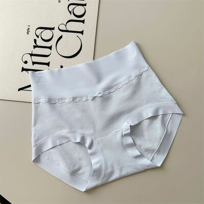 Quality Premium Breathable Cotton Ladies' Briefs with 4-Way Dynamic Stretch and Precision No-Show Fit factory