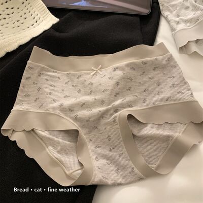 Quality Breathable Combed Cotton Ladies' Briefs with 4-Way Dynamic Stretch and Precision No-Show Fit for Daily Commuting factory