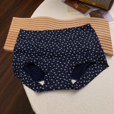 Quality Snug Non-Binding Fit Lightweight Breathable Cotton Ladies' Briefs with Elegant Loungewear Silhouette factory