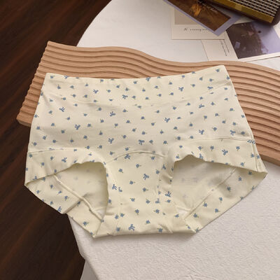 Quality Snug Non-Binding Fit Lightweight Breathable Cotton Ladies' Briefs with Elegant Loungewear Silhouette factory