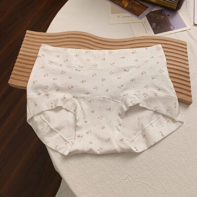 Quality Snug Non-Binding Fit Lightweight Breathable Cotton Ladies' Briefs with Elegant Loungewear Silhouette factory