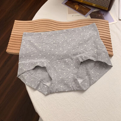 Quality Snug Non-Binding Fit Lightweight Breathable Cotton Ladies' Briefs with Elegant Loungewear Silhouette factory