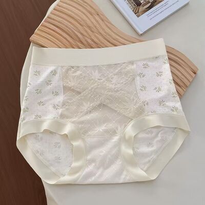Quality Stretchy Lightweight Breathable Lyocell Ladies' Briefs for Comfortable Daily Commuting factory