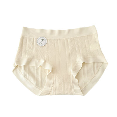 Quality Elegant Smooth Premium Breathable Cotton Ladies' Briefs for Relaxed Non-Binding Comfort factory