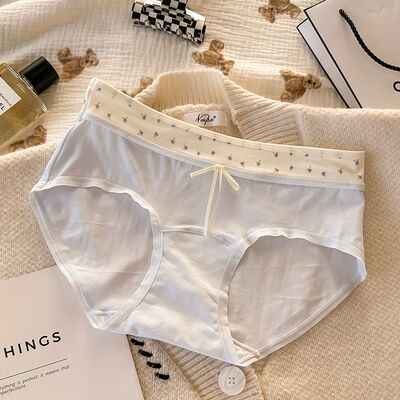 Quality Supple Lace Trim Breathable Modal Ladies' Briefs with Precision Fitting Silhouette factory