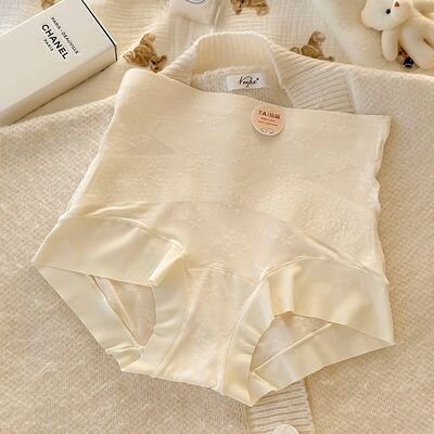 Quality Seamless 4-Way Stretch Breathable Quick-Dry Polyamide Ladies' Briefs for Travel factory