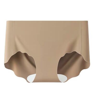Quality Seamless Ice-Silk Cool-Touch Polyamide Ladies' Briefs with 4-Way Dynamic Stretch for Daily Commuting factory