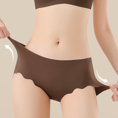 Quality Seamless Ice-Silk Cool-Touch Polyamide Ladies' Briefs with 4-Way Dynamic Stretch for Daily Commuting factory