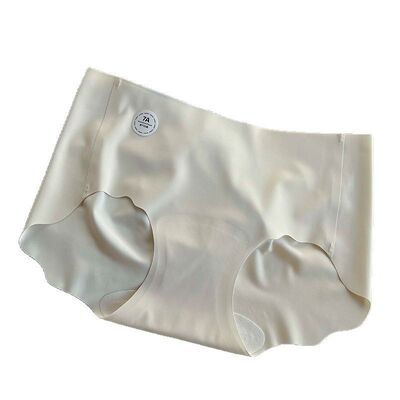 Quality Understated Discreet Outdoor Aesthetic Recoverable Shape-Retention Polyamide Breathable Quick-Dry Lady's Brief for Women factory