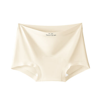 Quality Lightweight Stretchable Breathable Polyamide Ladies' Briefs for Layering factory