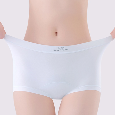 Quality Lightweight Stretchable Breathable Polyamide Ladies' Briefs for Layering factory