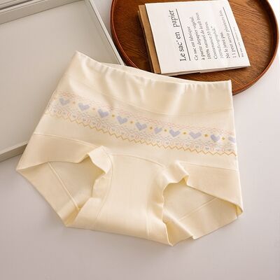 Quality Breathable Cotton Ladies' Briefs with Elegant Silhouette and Comfortable Fit for Home Relaxation factory
