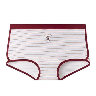Quality Premium Long-Staple Combed Cotton Ladies' Briefs with Body-Mapped Stay-Put Fit and Elegant No-Show Silhouette factory