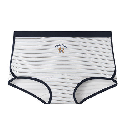 Quality Premium Long-Staple Combed Cotton Ladies' Briefs with Body-Mapped Stay-Put Fit and Elegant No-Show Silhouette factory