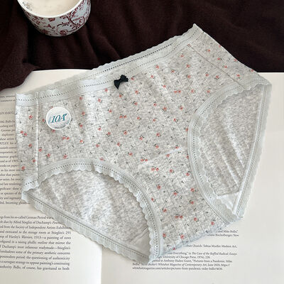 Quality Antibacterial Flattering Contoured Fit Buttery-Soft Breathable Cotton Ladies' Briefs for Home Relaxation factory