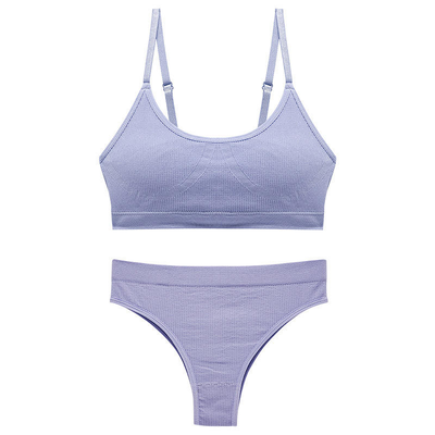 Quality Quick-Dry Unrestricted Fit Breathable Fabric Sports Bra Set for Yoga and Home Workouts factory
