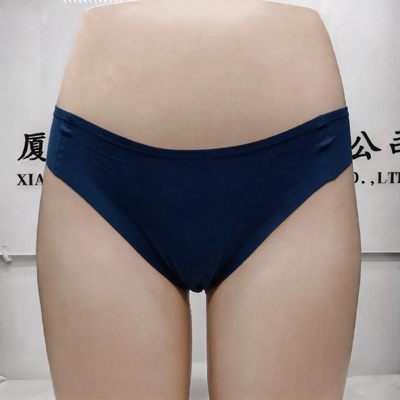 Quality Seamless Stretchy Breathable Lady's Brief for Everyday Sports Wear factory