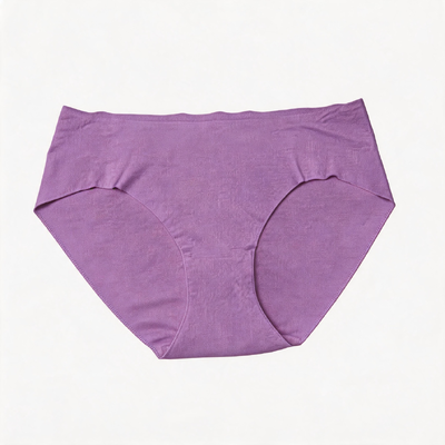 Quality Seamless Stretchy Breathable Polyamide Lady's Brief for Everyday Active Wear factory