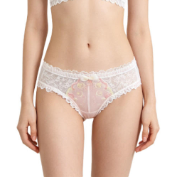 Quality Polished Lace Breathable Cotton Lady's Brief with Ergonomic Fit for Casual Daily Wear factory