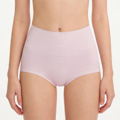 Quality Buttery Soft Modal 4-Way Stretch Breathable Micro-Pore Lady's Brief for Workout Comfort factory