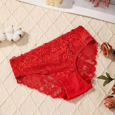 Quality Lightweight Breathable Lady's Brief with Delicate Lace for Everyday Multi Activewear factory