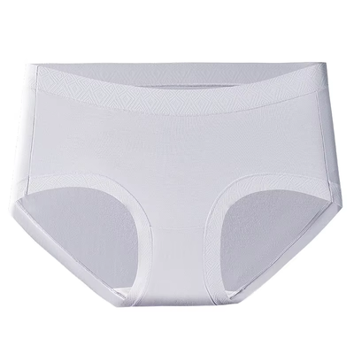 Quality Antibacterial Breathable Invisible No-Show Modal Lady's Brief for Lounge and Daily Wear factory