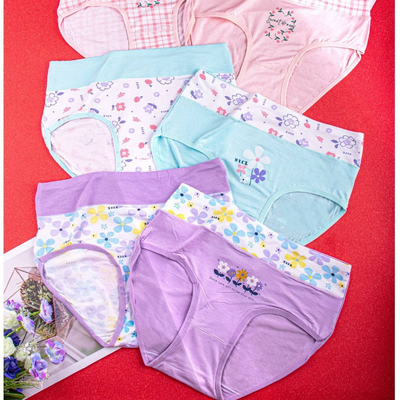 Quality Soft Tailored Fit Breathable Cotton Women's Brief with Gentle Comfort Waistband for Casual Daily Wear factory
