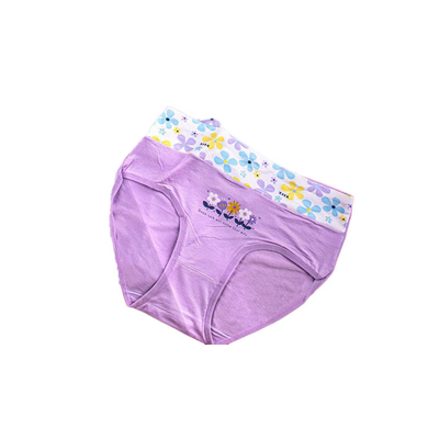 Quality Soft Tailored Fit Breathable Cotton Women's Brief with Gentle Comfort Waistband for Casual Daily Wear factory