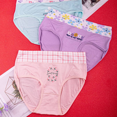 Quality Soft Tailored Fit Breathable Cotton Women's Brief with Gentle Comfort Waistband for Casual Daily Wear factory