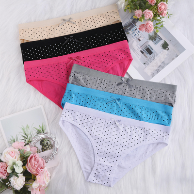 Quality Plus Size Elastic Stay-Put Women's Brief with Breathable Nylon for Workout Comfort factory