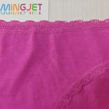 Quality Lightweight Breathable Delicate Lace Trim Tag-Free Chafe-Free Ladies Brief Women's Underwear for Sleeping Lounge factory