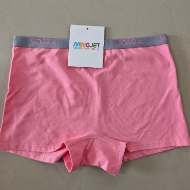 Quality Quick-Dry Stretchy Soft Ladies Cotton Boxer Women's Boxer Briefs for Everyday Light Exercise factory