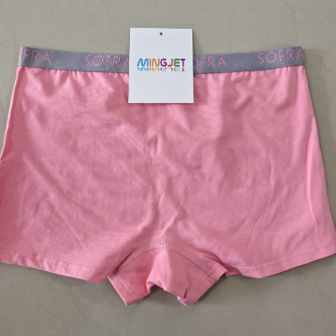 Quality Quick-Dry Stretchy Soft Ladies Cotton Boxer Women's Boxer Briefs for Everyday Light Exercise factory